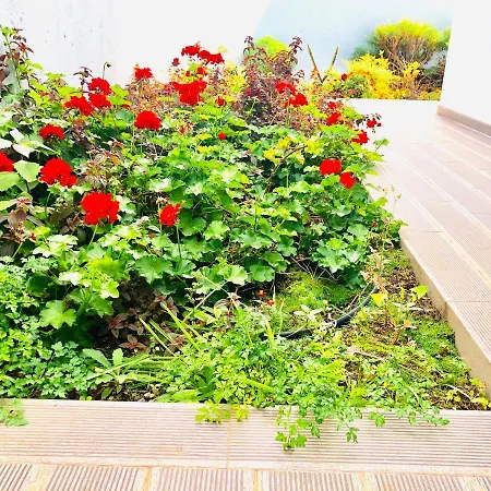 Feriehus Pinheira Ii