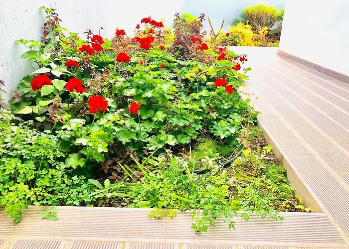 בית נופש Pinheira Ii